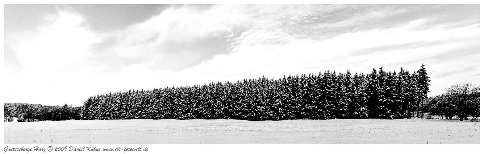 Panorama Güntersberge Waldansicht