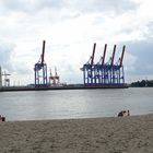 Panorama - Hamburg Elbestrand