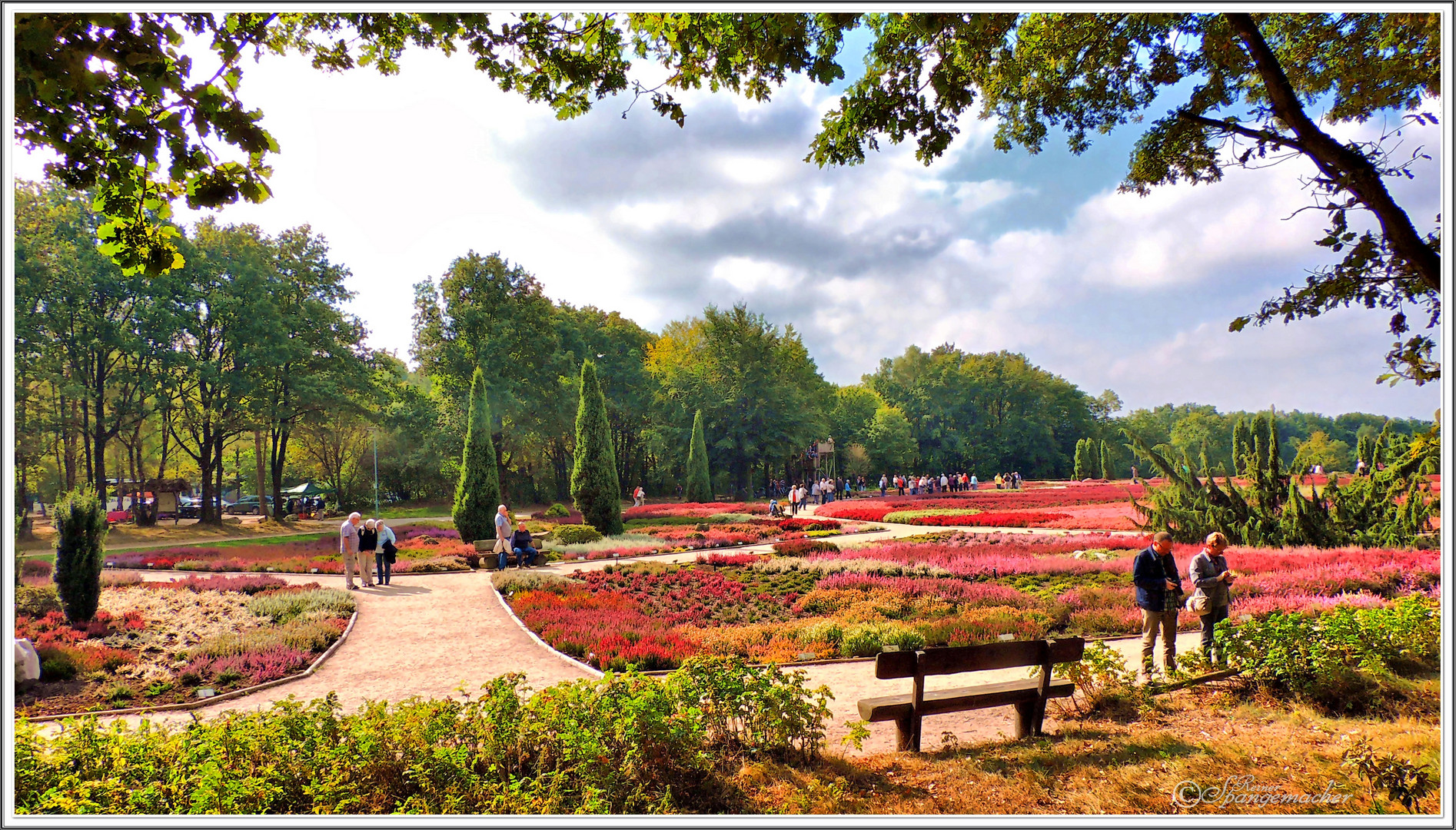 Panorama Heidegarten Schneverdingen.