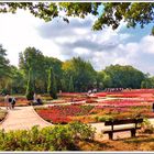 Panorama Heidegarten Schneverdingen.