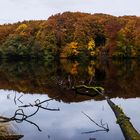 Panorama Herthasee im Herbst