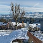 Panorama-Höhenweg Lindenberg-Scheidegg