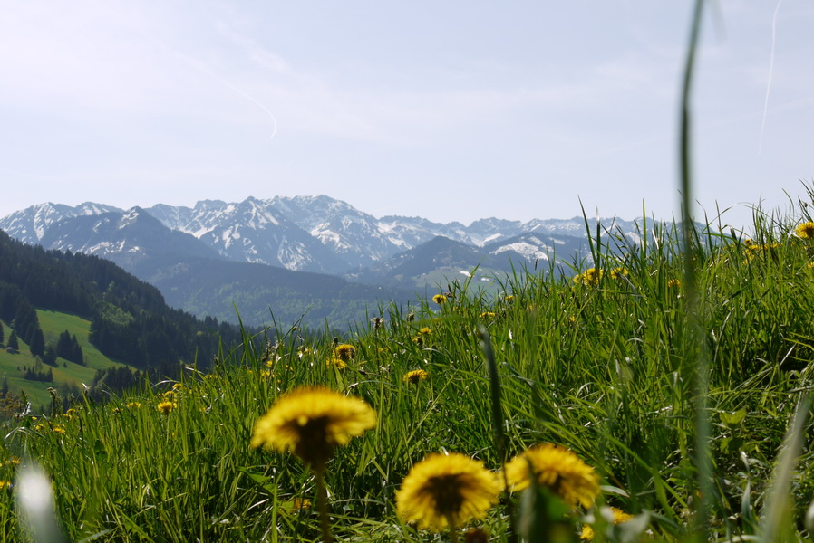 Panorama im Allgäu