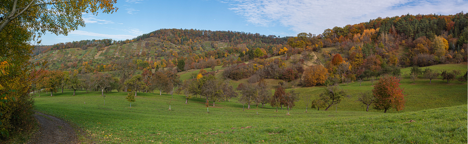 Panorama im Herbst