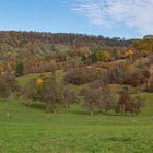 Panorama im Herbst