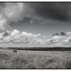 Panorama im Hohen Venn