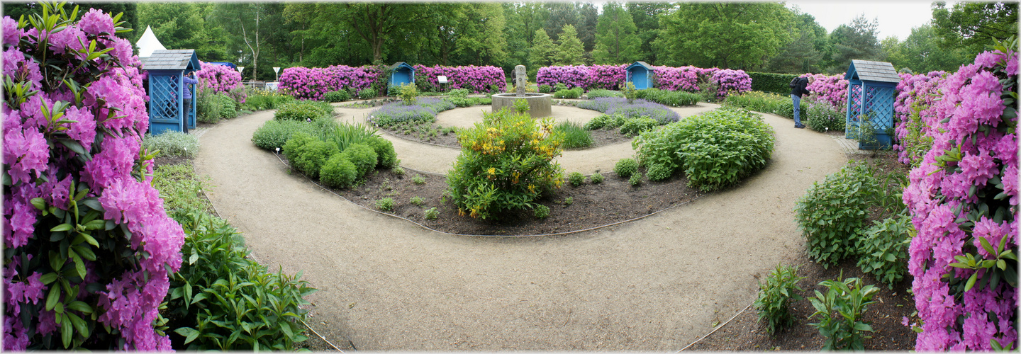 Panorama im Rhododendron-Park