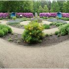 Panorama im Rhododendron-Park