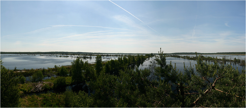 Panorama im Tister Bauernmoor