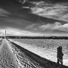 Panorama im Winter in schwarz weiß