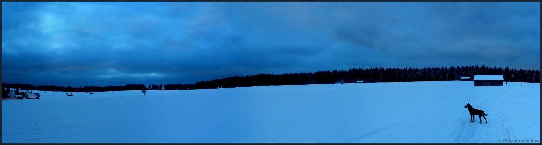 Panorama in blau ...