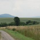 Panorama in der Nähe des Hildesheimer Waldes