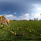 Panorama in der Schachbrettblumenwiese