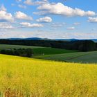 Panorama in Gelb/ Blau/ Grün