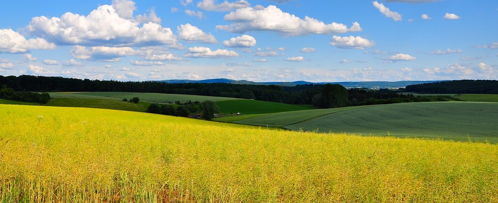 Panorama in Gelb/ Blau/ Grün von Holger Förster