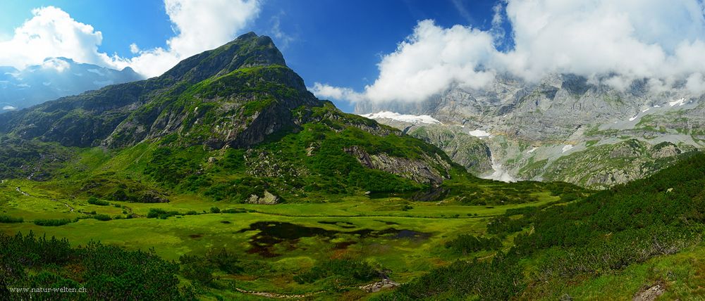 Panorama in Grün (220° Pano)