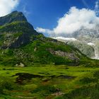 Panorama in Grün (220° Pano)