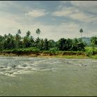 Panorama in Pinnawala