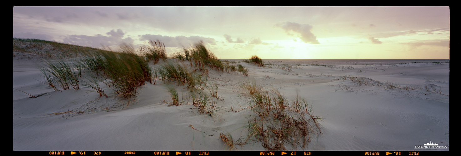 Panorama Insel Amrum