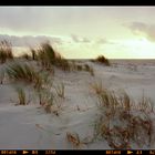 Panorama Insel Amrum