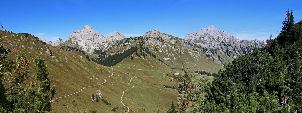 Panorama: Köllen- und Gehrenspitze