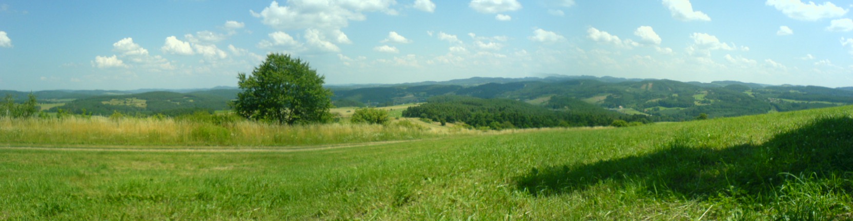 Panorama landscape