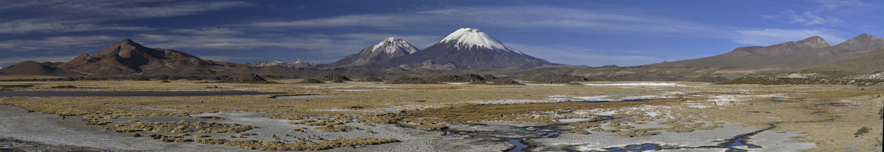 Panorama Lauca NP