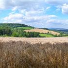 Panorama Lobenhausen 1