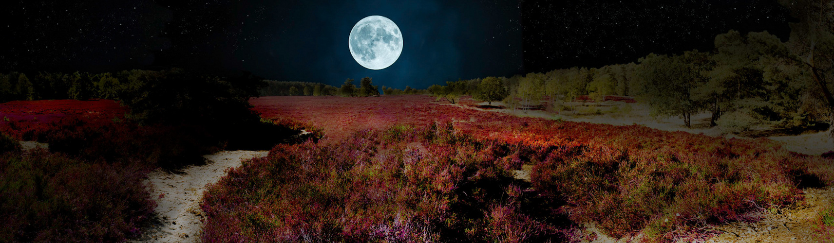 Panorama Lüneburger Heide 