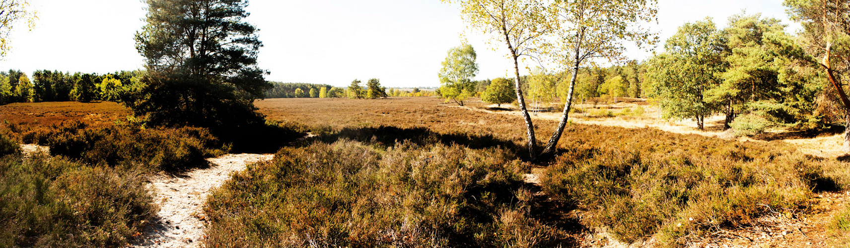 Panorama Lüneburger Heide 