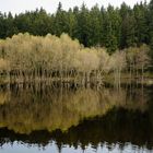 Panorama-Mandelholztalsperre-Harz