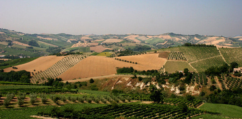 panorama marchigiano