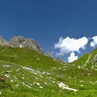 Panorama mit Alpenrosenblüte
