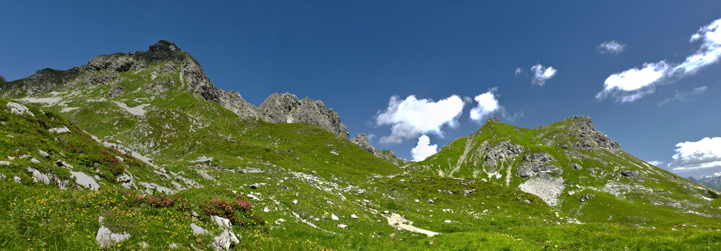 Panorama mit Alpenrosenblüte