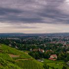 panorama mit Blick ins Elbtal