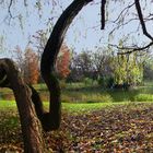 Panorama mit herbstlicher Idylle