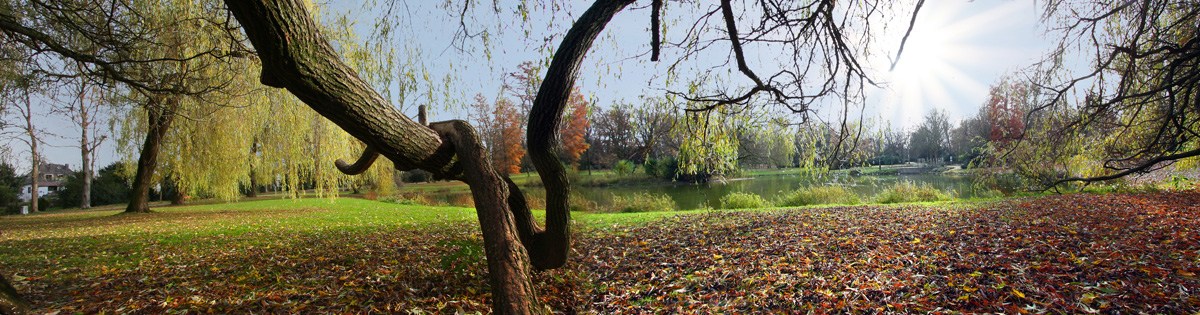 Panorama mit herbstlicher Idylle