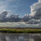 Panorama mit kleinem Hund und Sonne ...