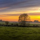 Panorama mit Pferdeanhänger 