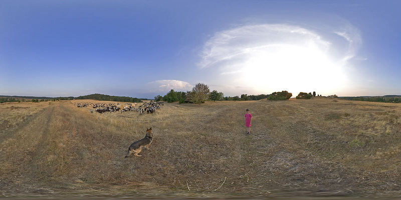 (Panorama mit) Schäferhund - aber wirklich!