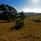 Panorama-mit Windflüchter