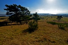 Panorama-mit Windflüchter