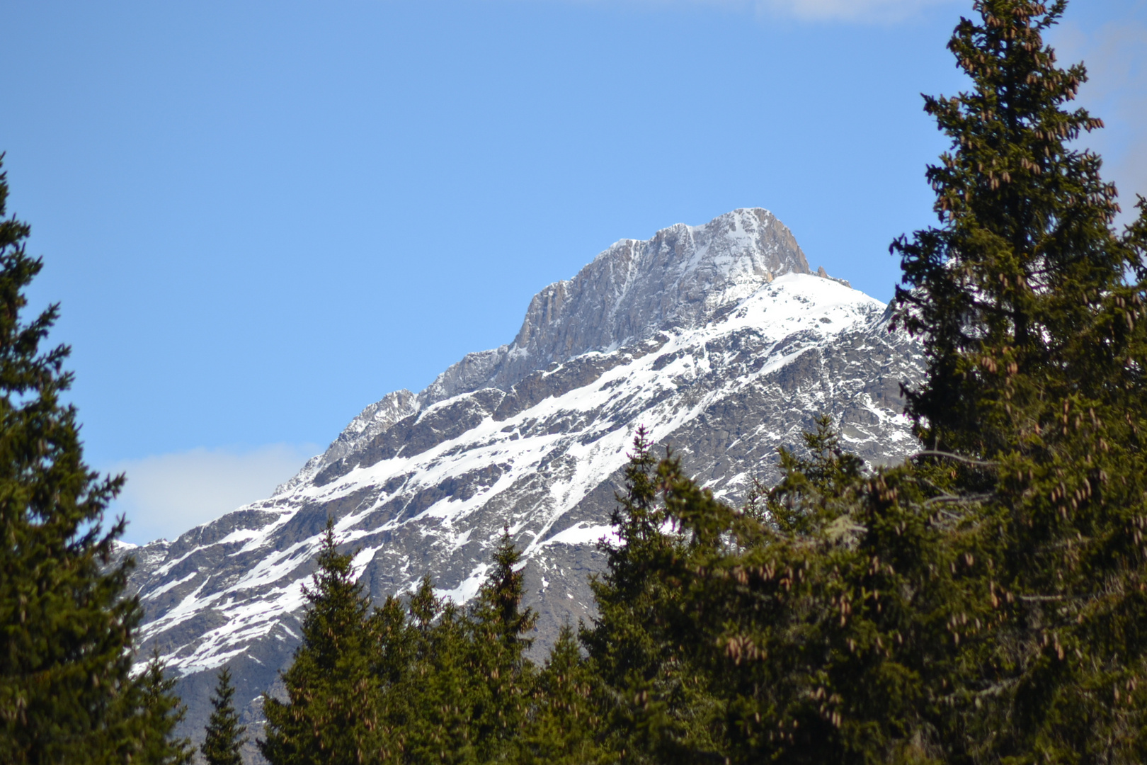 PANORAMA MONTANO. ALTO ADIGE GRUPPO TESSA