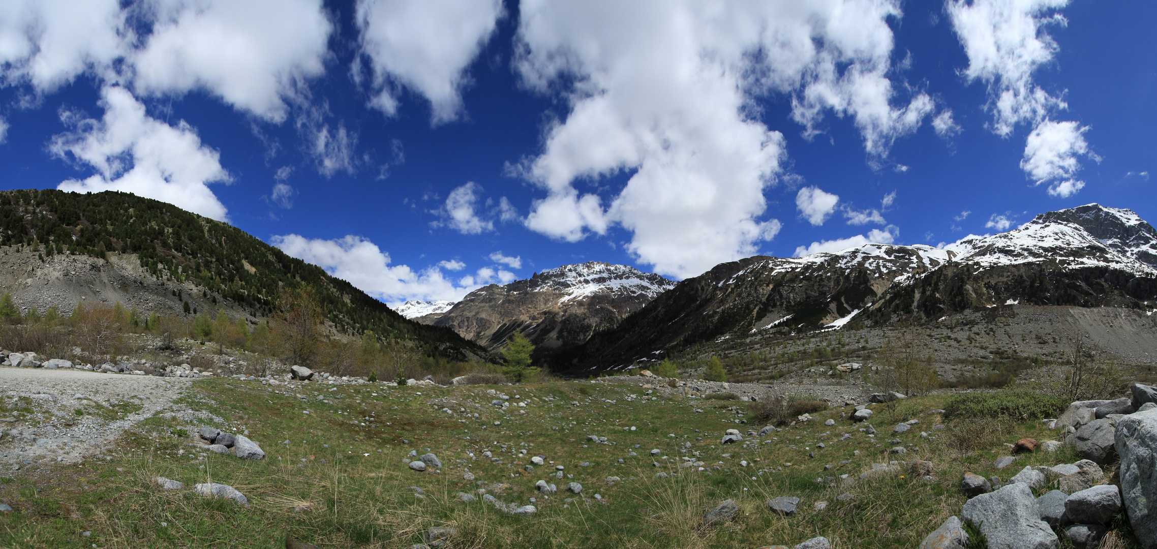 Panorama Morteratsch