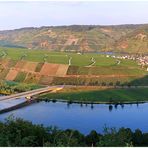 Panorama - Moselschleife bei Piesport 