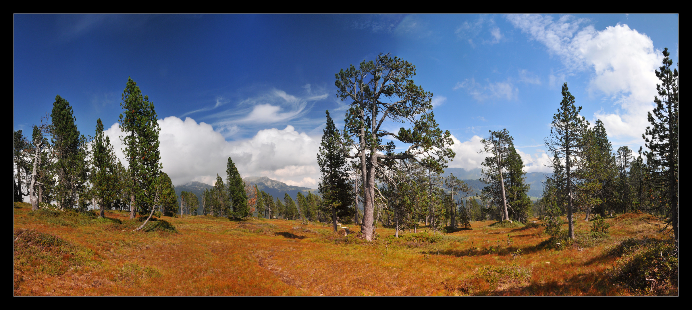 Panorama Naturschutzgebiet Hogant - 7 Hengste