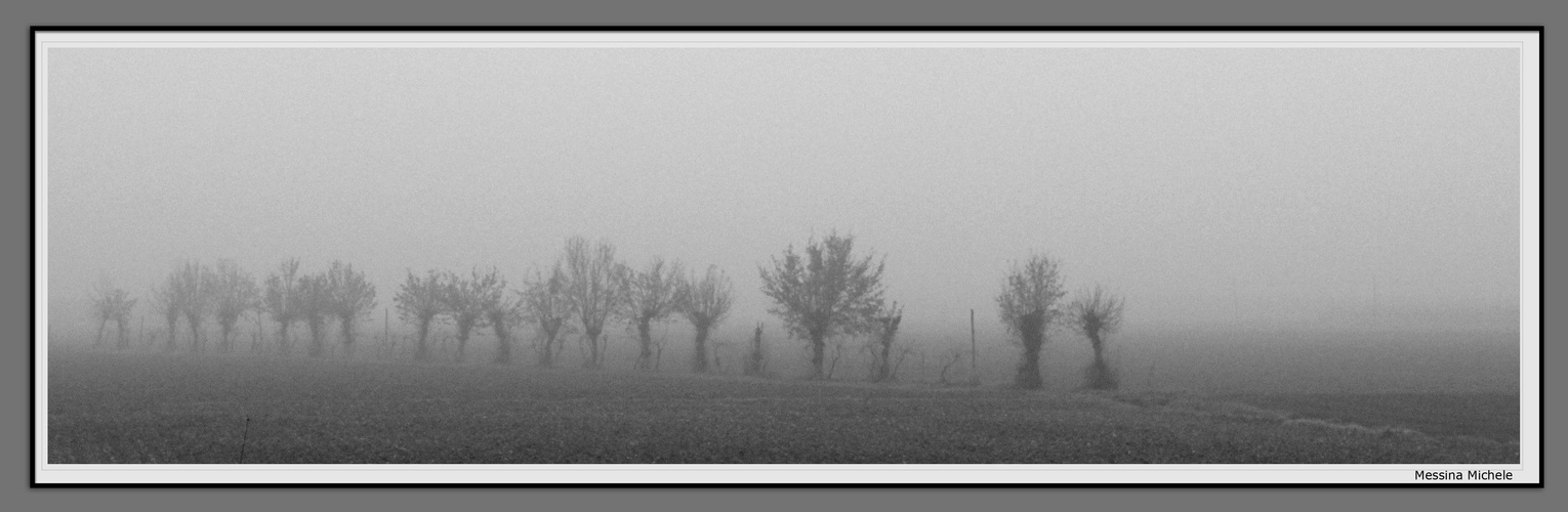 Panorama nebbia - Michele Messina