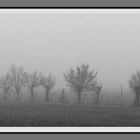 Panorama nebbia - Michele Messina