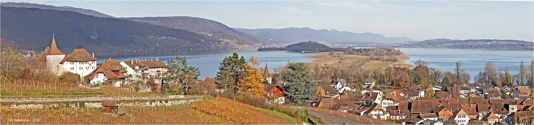 Panorama oberhalb Erlach am Bielersee