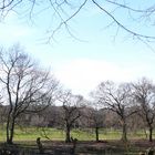 Panorama Obstwiese Herbst